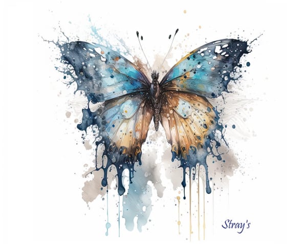 Strays Creations Sea Shells