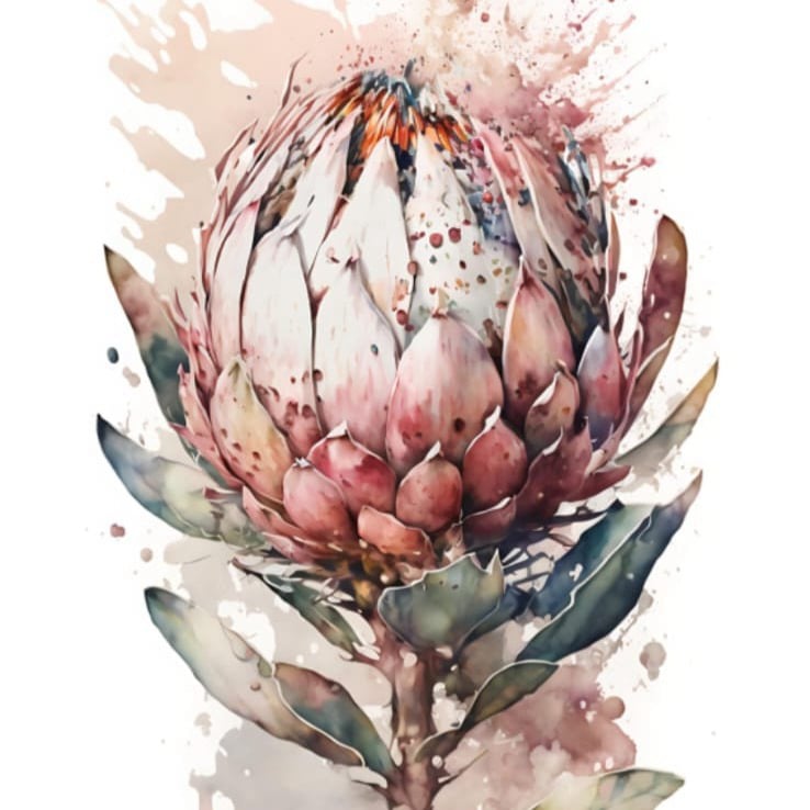 Strays Creations Sea Shells