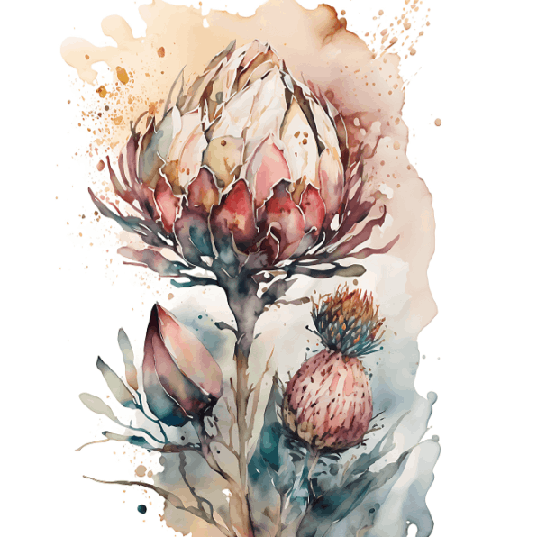 Strays Creations Sea Shells